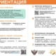 Система профориентации